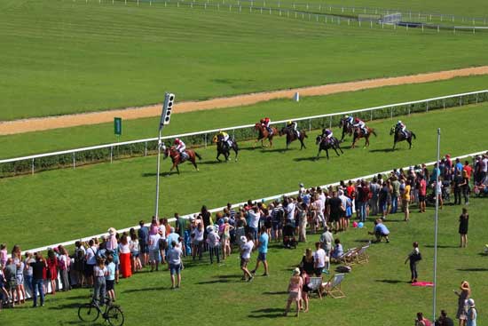 Odds Hestesport Væddeløb hestesport (3)